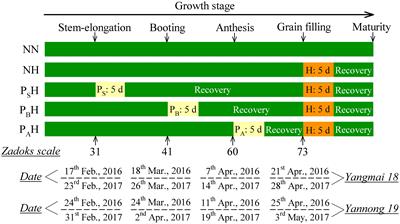 Heat Priming During Early Reproductive Stages Enhances Thermo-Tolerance to Post-anthesis Heat Stress via Improving Photosynthesis and Plant Productivity in Winter Wheat (Triticum aestivum L.)